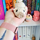 Little Pig Crochet Plush | Cute Pig Plushie | Handmade Amigurumi Pig | Farm Animal Plush | Kawaii Pig Gift