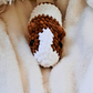 Crochet Guinea Pig Plush | Handmade Guinea Pig Stuffed Animal | Soft Chenille Plushie | Guinea Pig Lover Gift | Small Animal Plush