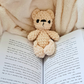 Tiny Teddies | Mini Crochet Teddy Bear Plushie