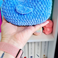 Bluebell Chicken | Handmade Crochet Chicken Plushie