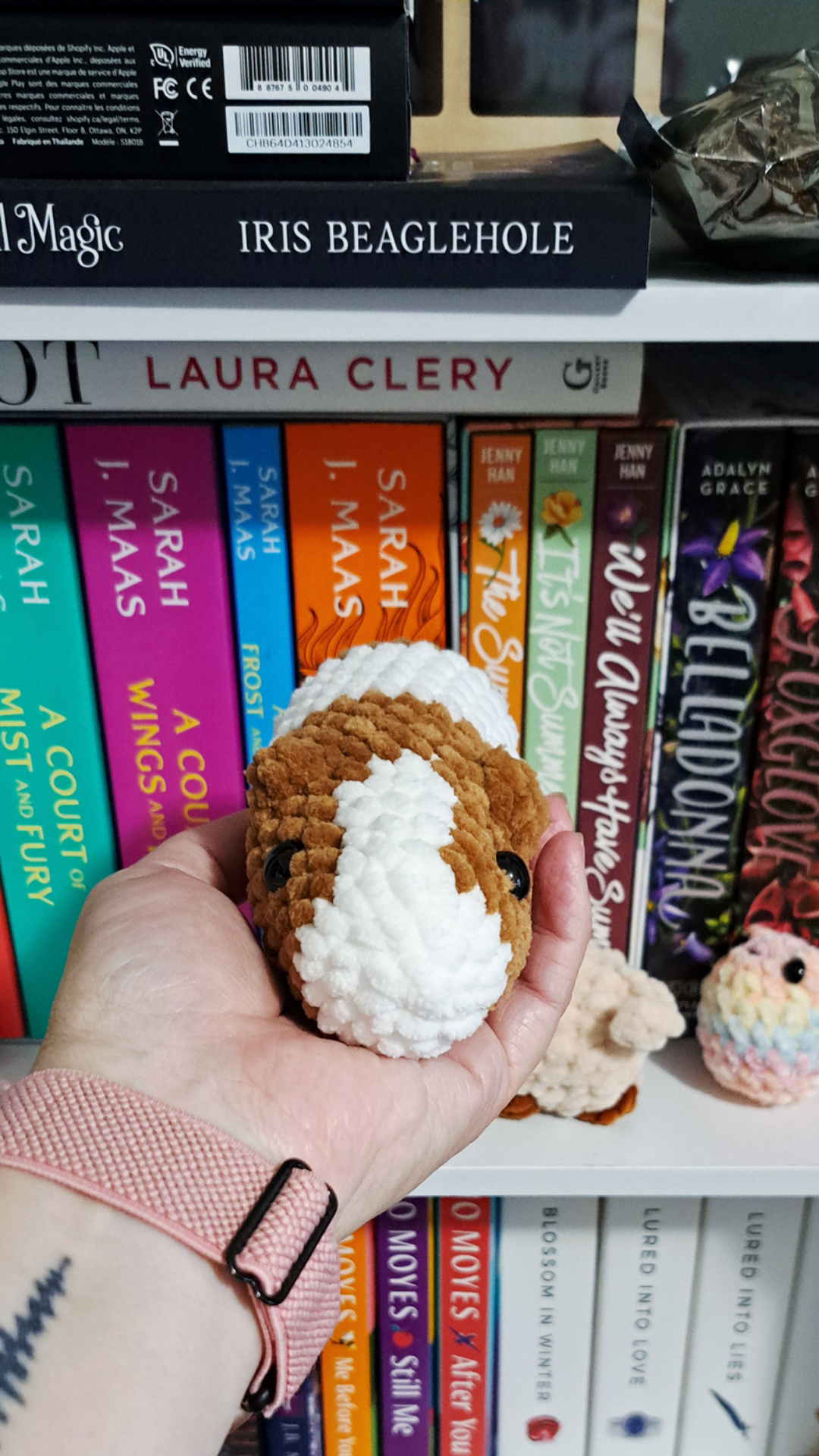 Crochet Guinea Pig Plush | Handmade Guinea Pig Stuffed Animal | Soft Chenille Plushie | Guinea Pig Lover Gift | Small Animal Plush